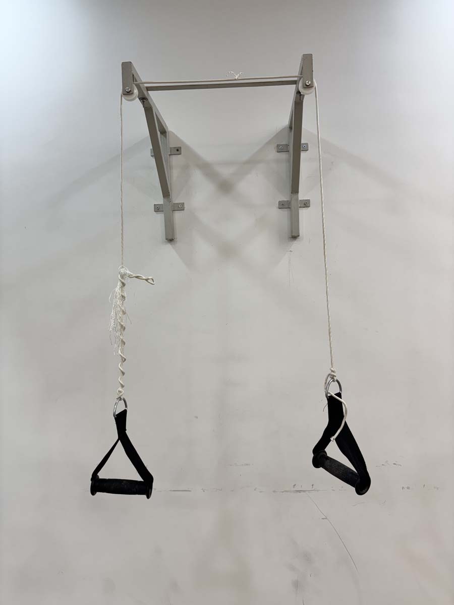 Shoulder Pulley